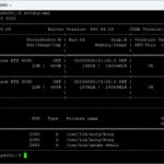 Ubuntu 24.04 Server für KI-Inferenz vorbereiten: CUDA, Docker, NVIDIA Container Toolkit