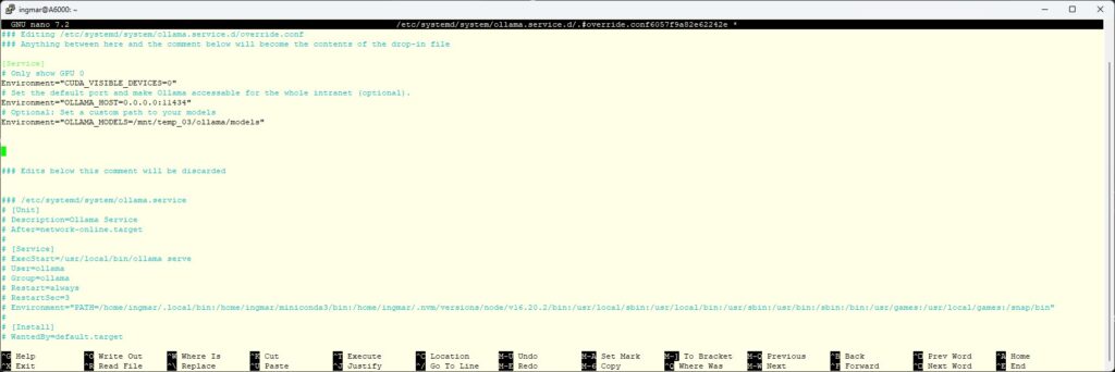 Ollama multi instance set variables