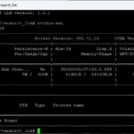 Tensor RT LLM - container test