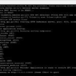 NVIDIA NIM Container Magpie setup