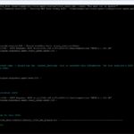 NVIDIA nim date time output